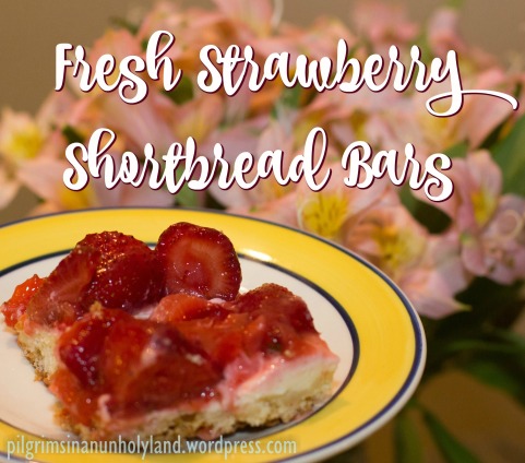 strawberryBars-header